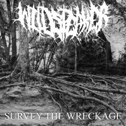 Wildspeaker : Survey The Wreckage